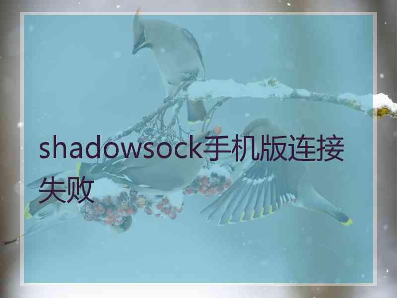 shadowsock手机版连接失败