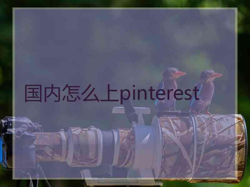 国内怎么上pinterest