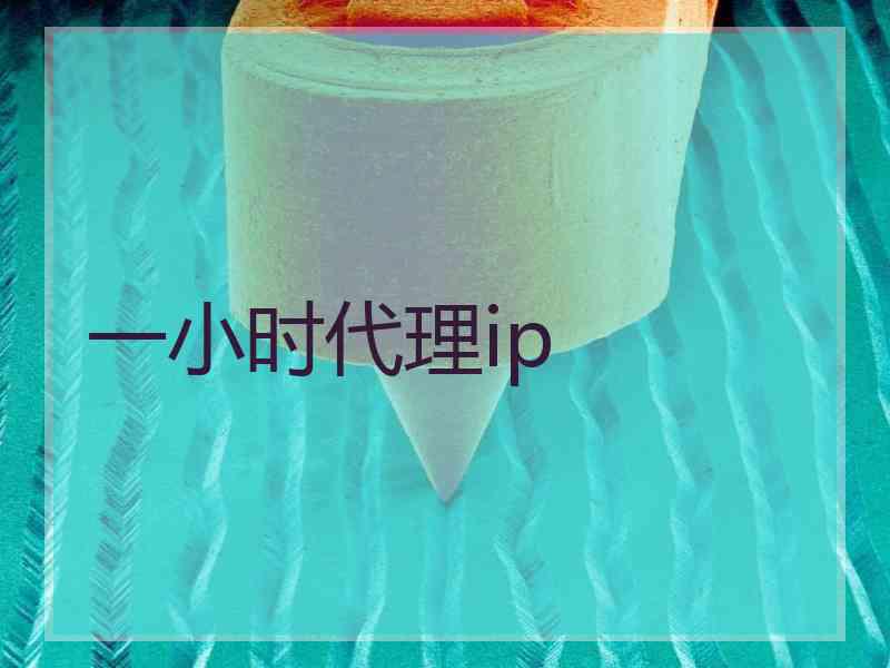 一小时代理ip