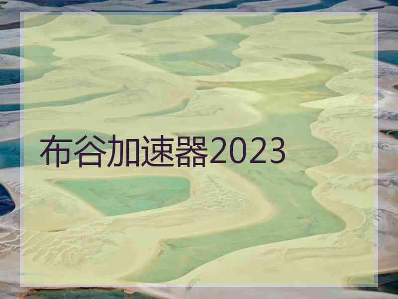 布谷加速器2023