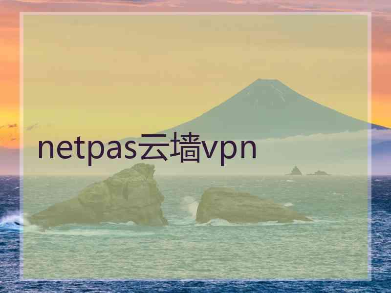 netpas云墙vpn