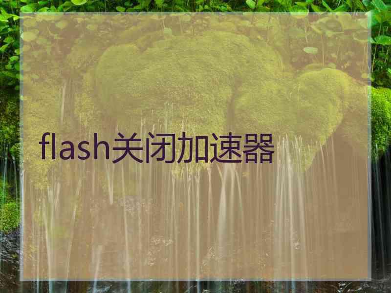 flash关闭加速器