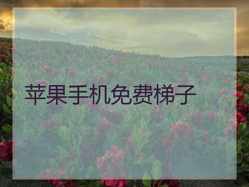 苹果手机免费梯子