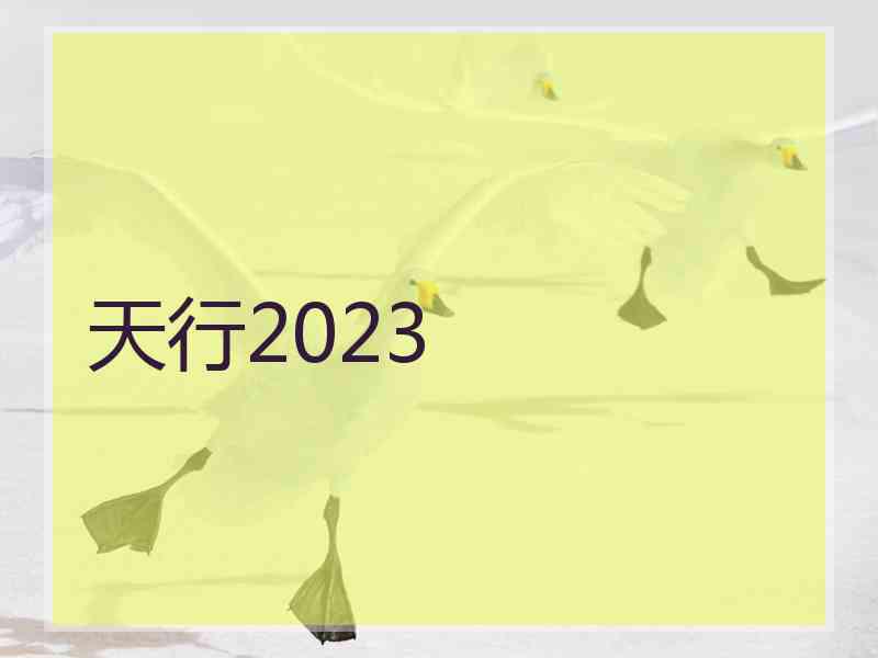 天行2023