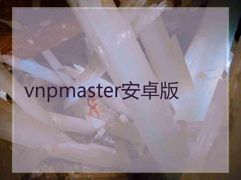 vnpmaster安卓版