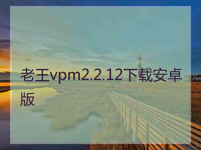 老王vpm2.2.12下载安卓版