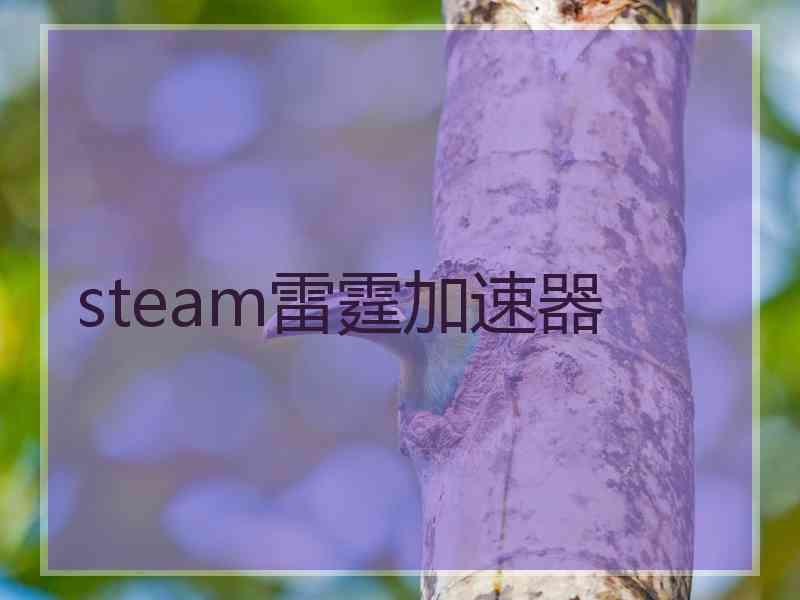 steam雷霆加速器