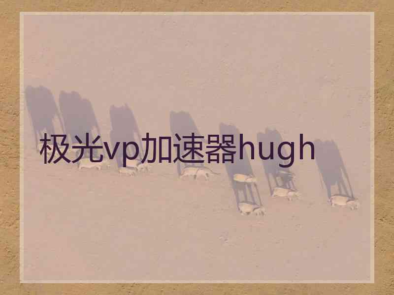 极光vp加速器hugh