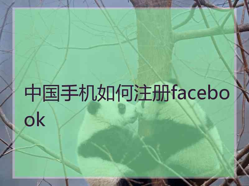 中国手机如何注册facebook