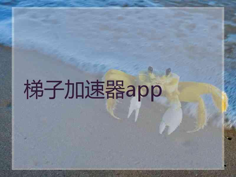 梯子加速器app