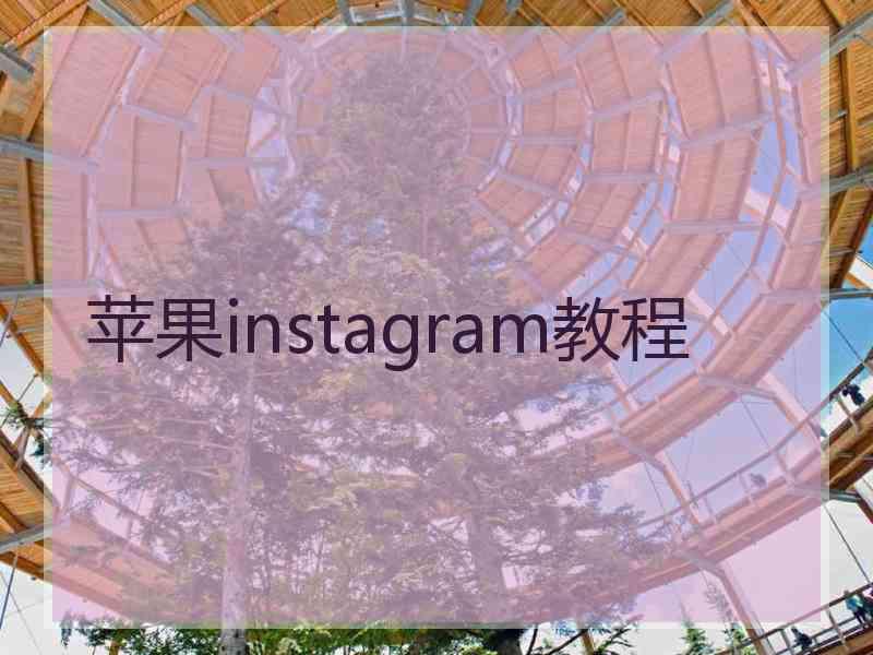 苹果instagram教程