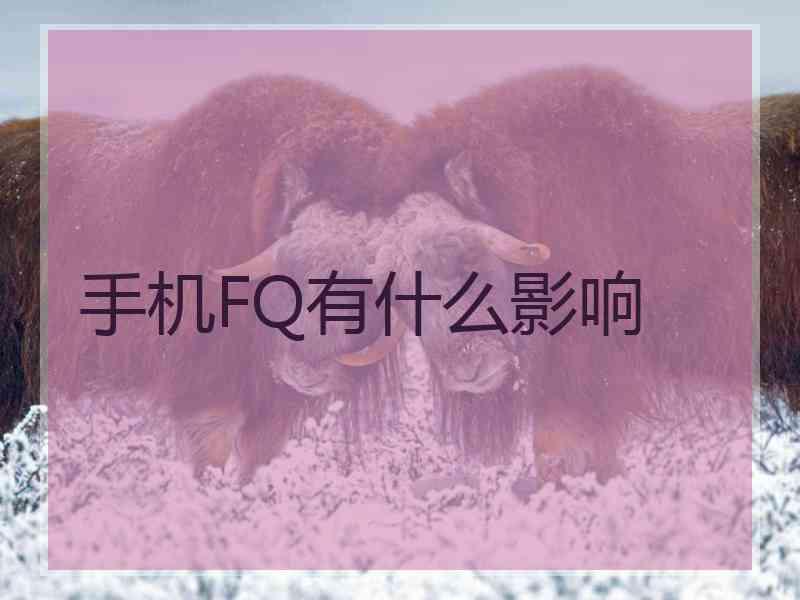 手机FQ有什么影响