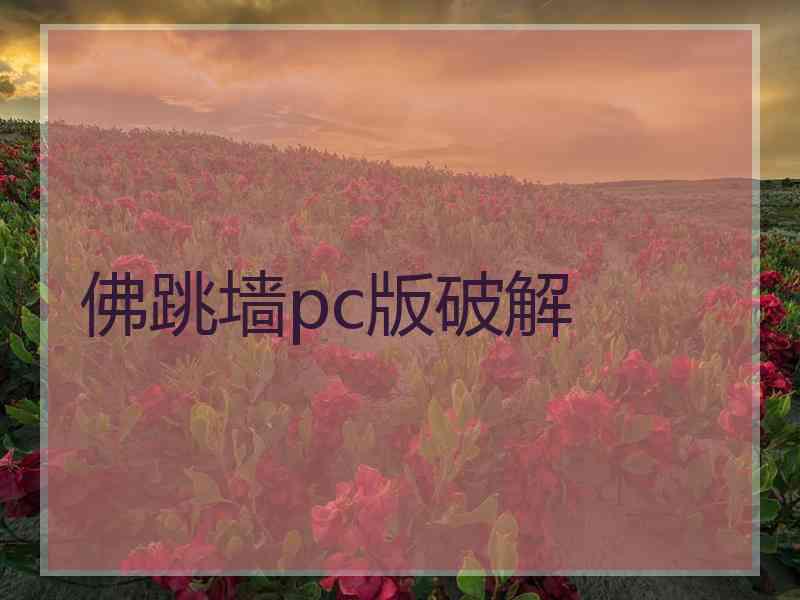 佛跳墙pc版破解