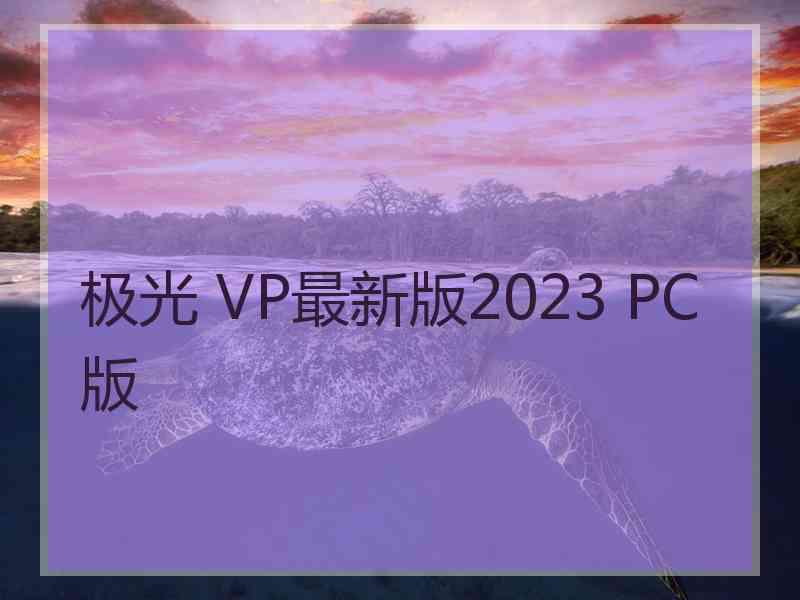 极光 VP最新版2023 PC版